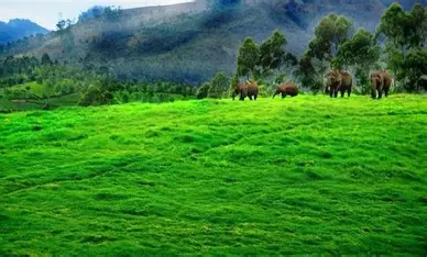 Lonavala