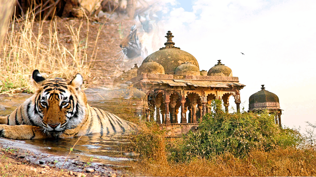 Varanasi